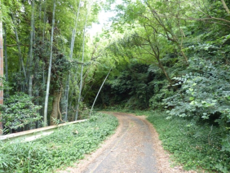 画像27